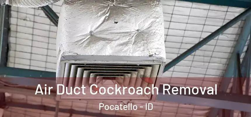  Air Duct Cockroach Removal Pocatello - ID