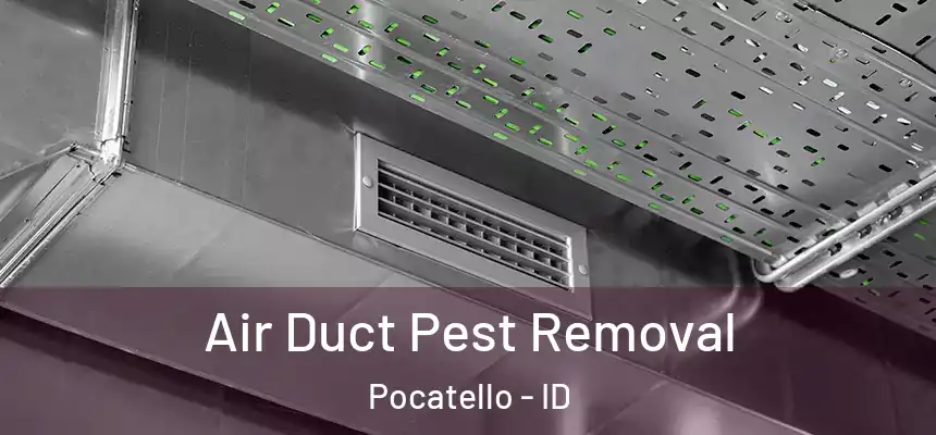  Air Duct Pest Removal Pocatello - ID