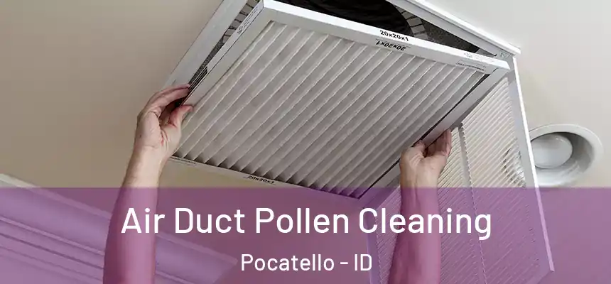  Air Duct Pollen Cleaning Pocatello - ID