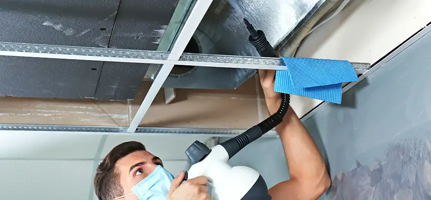 Our Air Duct Rodent Removal Services in Pocatello, ID