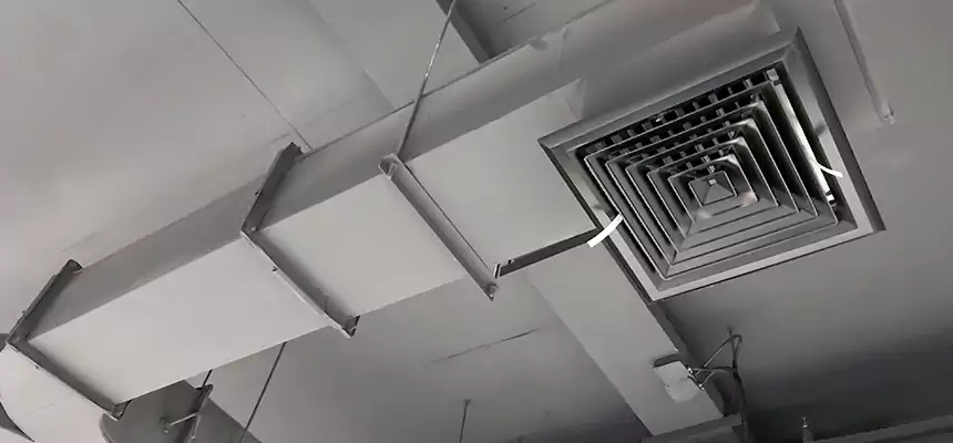 Restorative Allergy Relief Vent Cleaning – Coil, Blower & Housing Detail in Pocatello