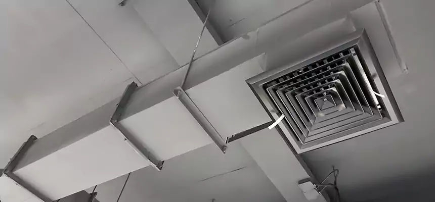 Our Rodent Droppings In Vents Services in Pocatello, ID