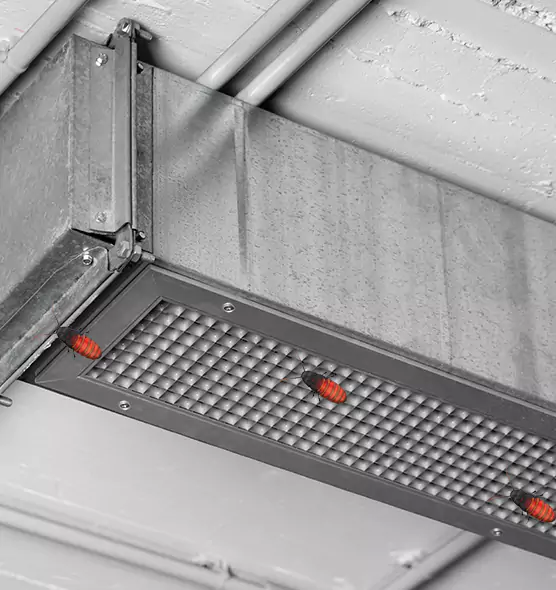 About Air Duct Cockroach Removal in Pocatello, ID