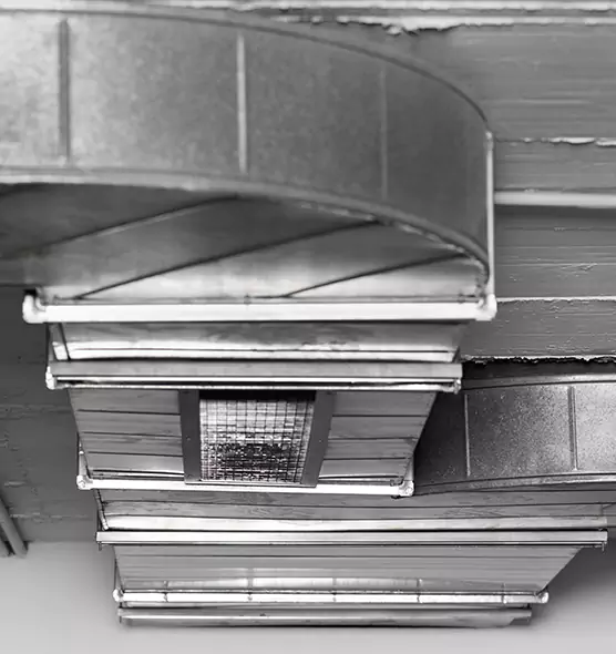 Professional Air Duct Pest Removal in Pocatello, ID