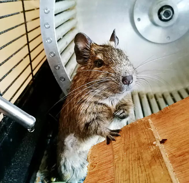 Why Homeowners & Businesses Trust Us Pocatello, ID